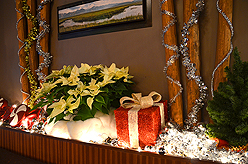 WINTER WONDERLAND AT AMBER